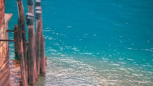 Pilings